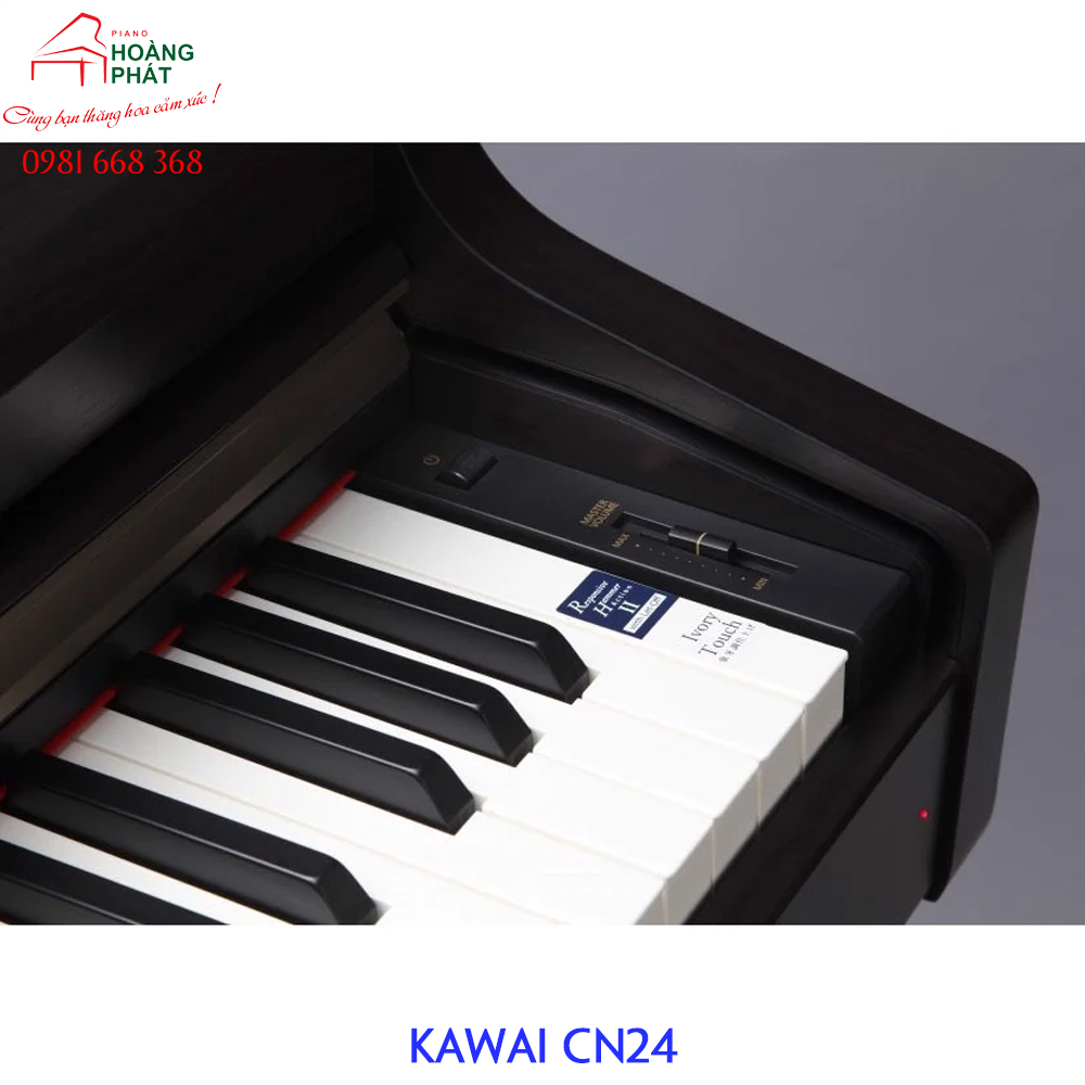 KAWAI CN24
