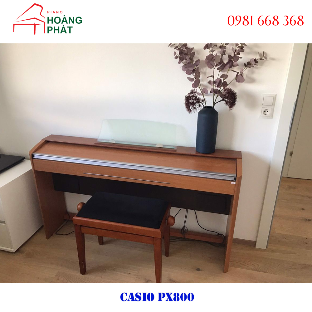CASIO PX800