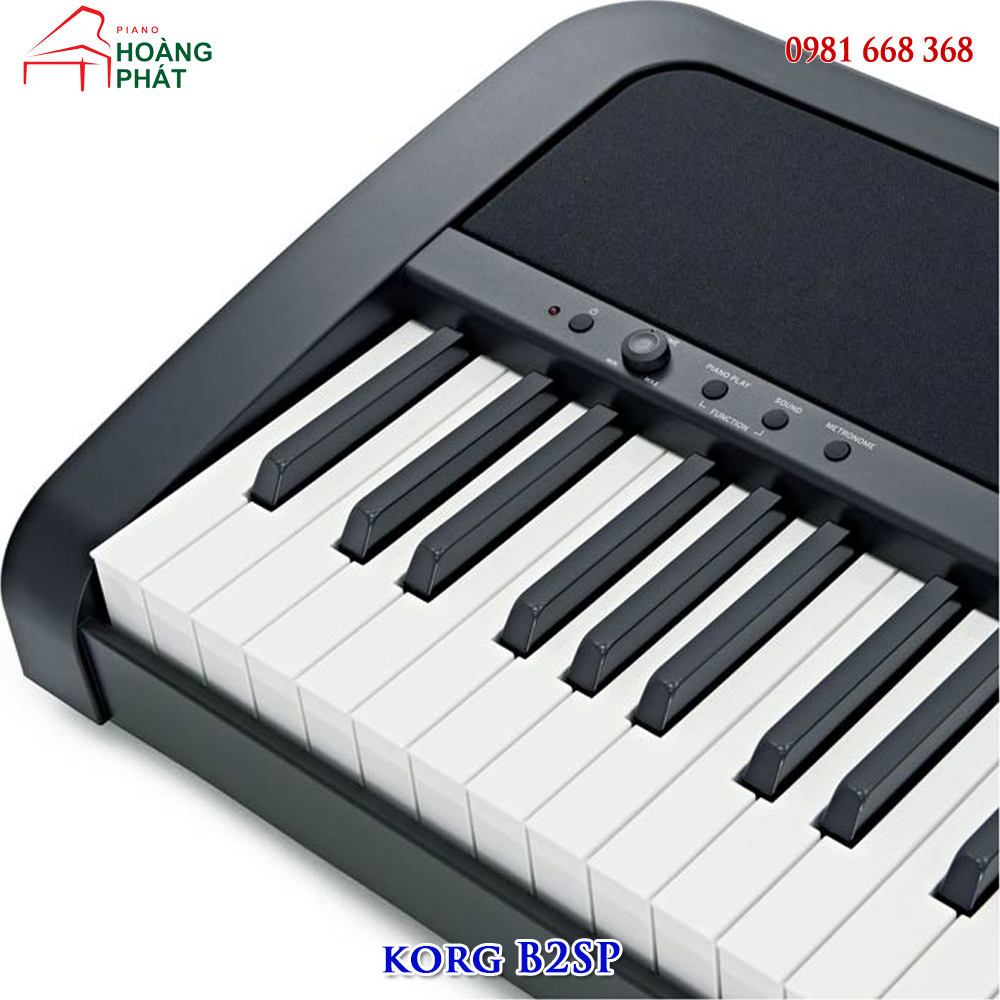 KORG B2SP mới