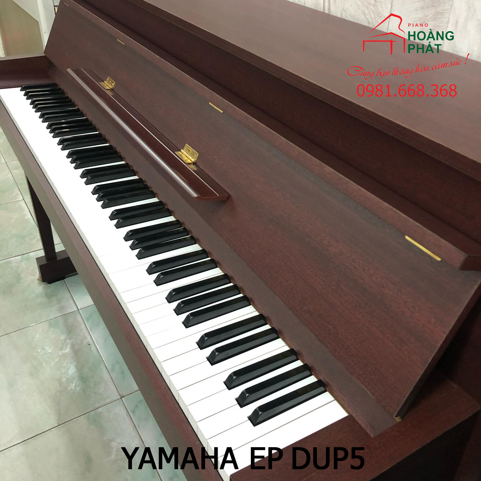 YAMAHA DUP5