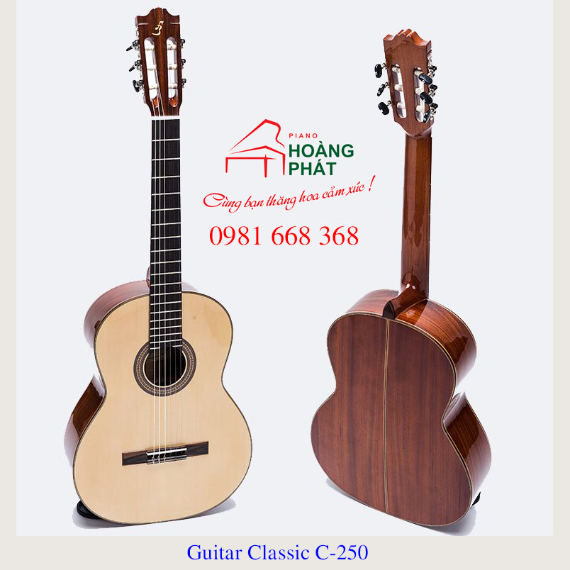 Guitar Classic C-250