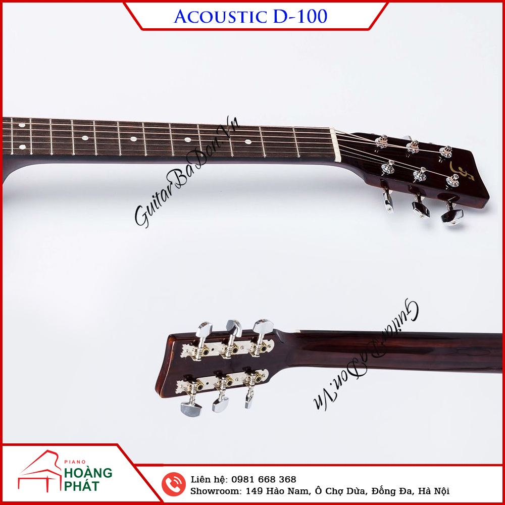 Guitar Acoustic D100