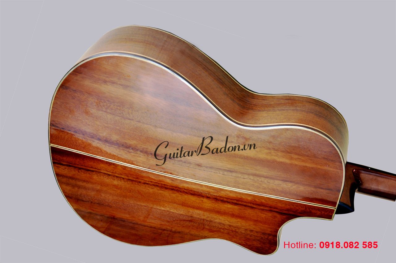 Guitar Acoustic- T550D ( Gỗ Điệp)