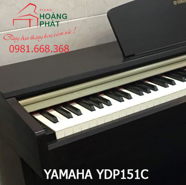 YAMAHA YDP151