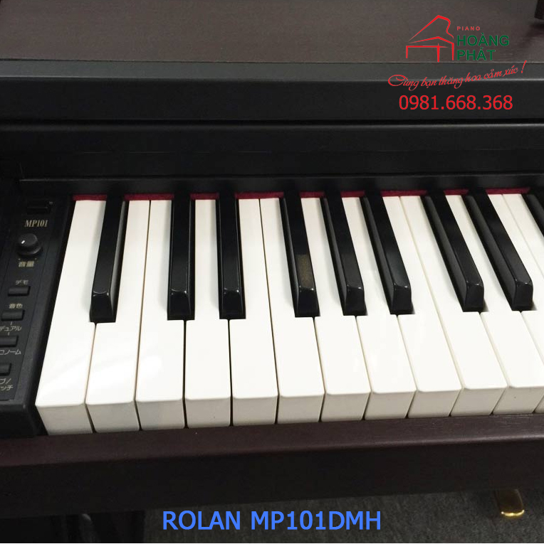 ROLAND MP101DMH