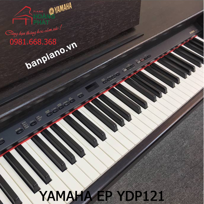 YAMAHA YDP121