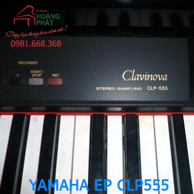 YAMAHA CLP555