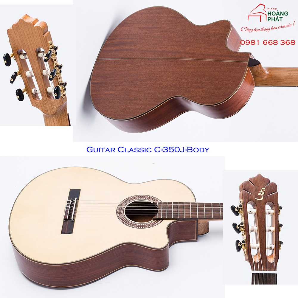 guitar classic C-450-J