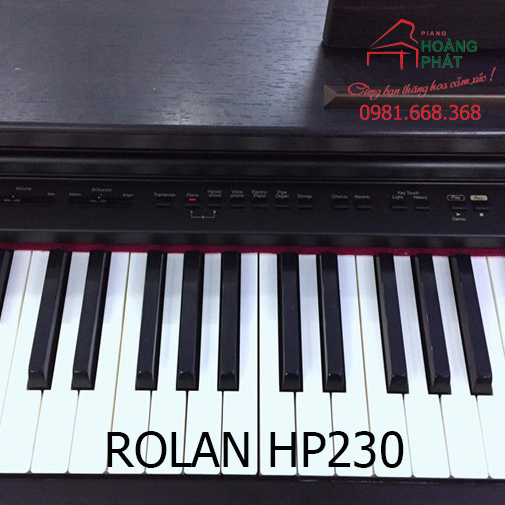 ROLAND HP230