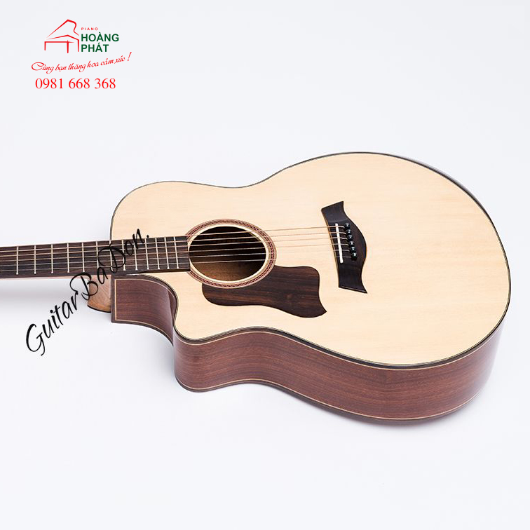 Guitar Acoustic T450 (có gù )
