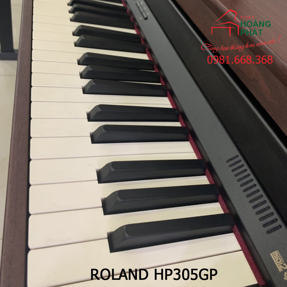 ROLAND HP305GP