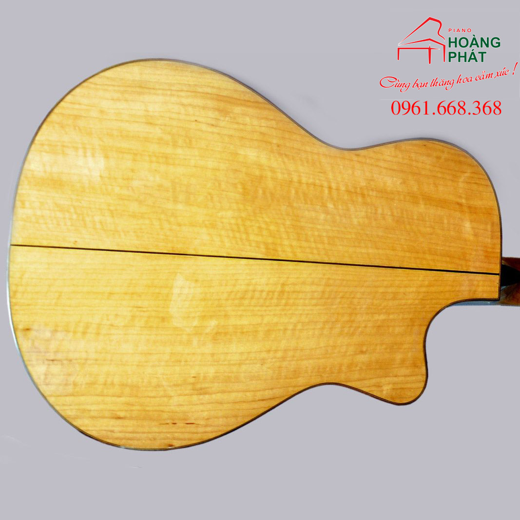Guitar Acoustic - T550C (Gỗ Còng)