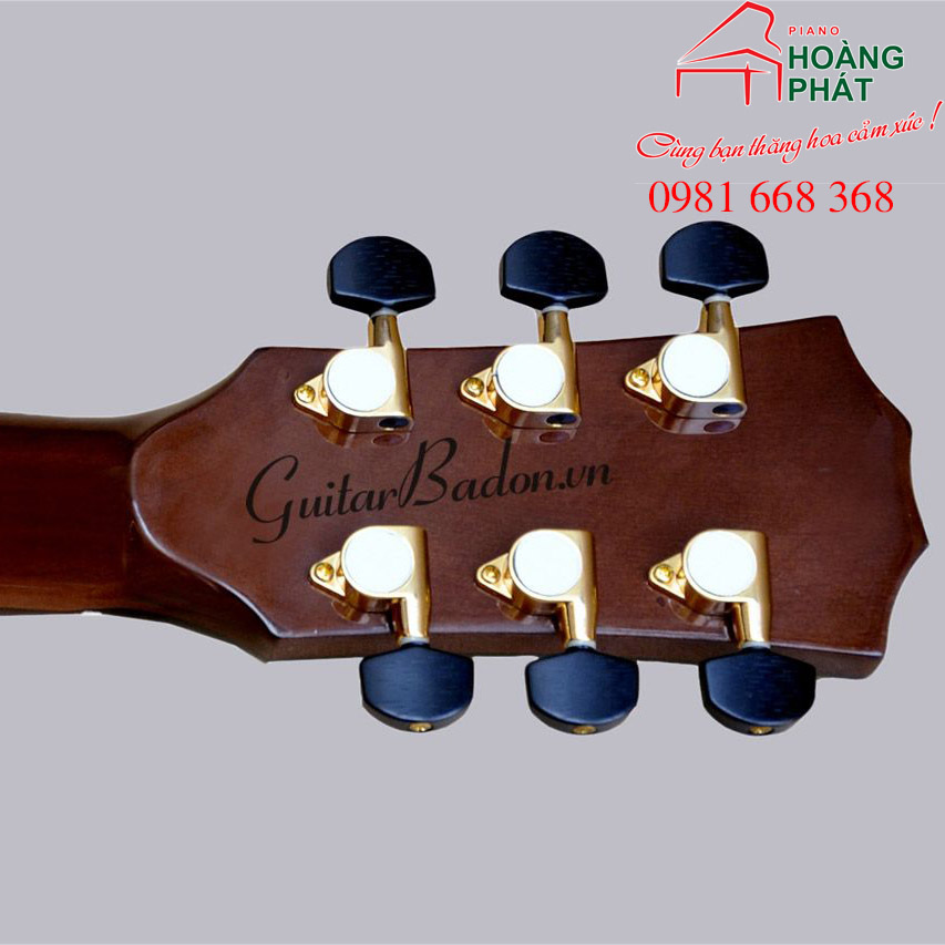 Guitar Acoustic- T550D ( Gỗ Điệp)