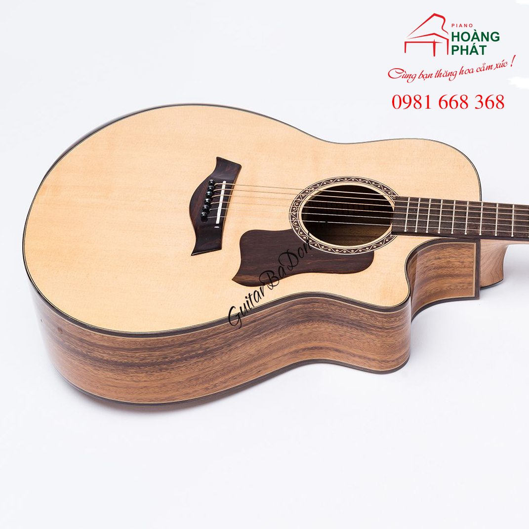 Guitar Acoustic T600