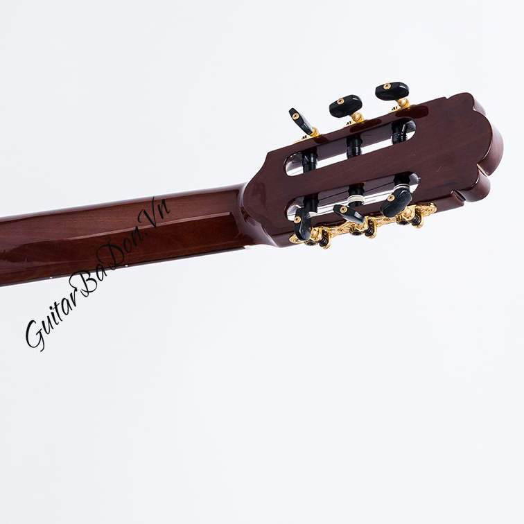 Guitar Classic C-600-J