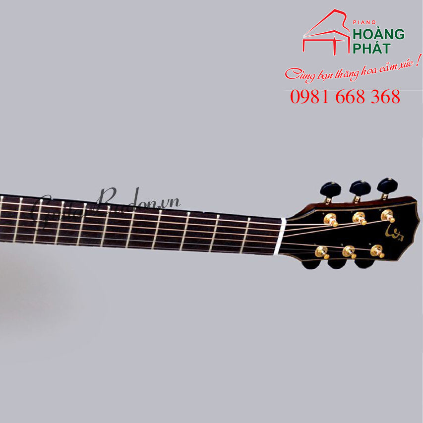 Guitar Acoustic- T550D ( Gỗ Điệp)