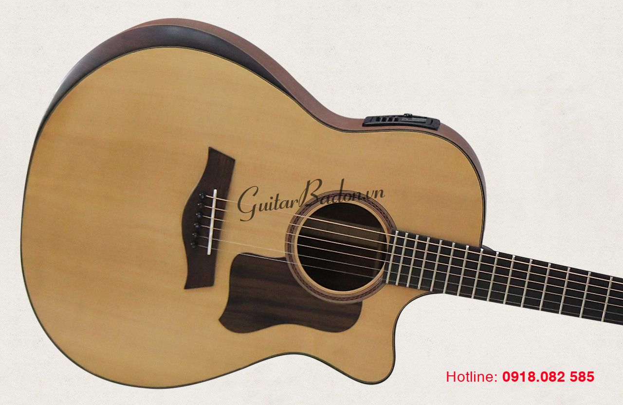 Guitar Acoustic - T450-EQB12 (Có EQ-B12 )
