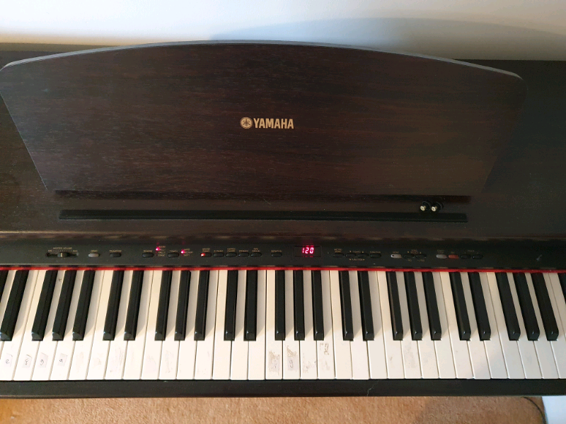 YAMAHA YDP121