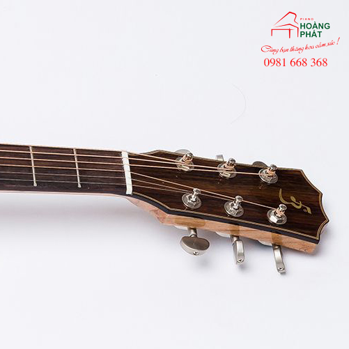 Guitar Acoustic T450 (có gù )