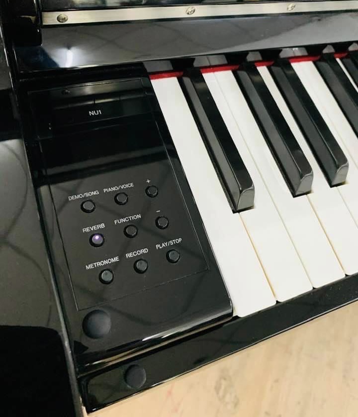 Yamaha NU-1PE