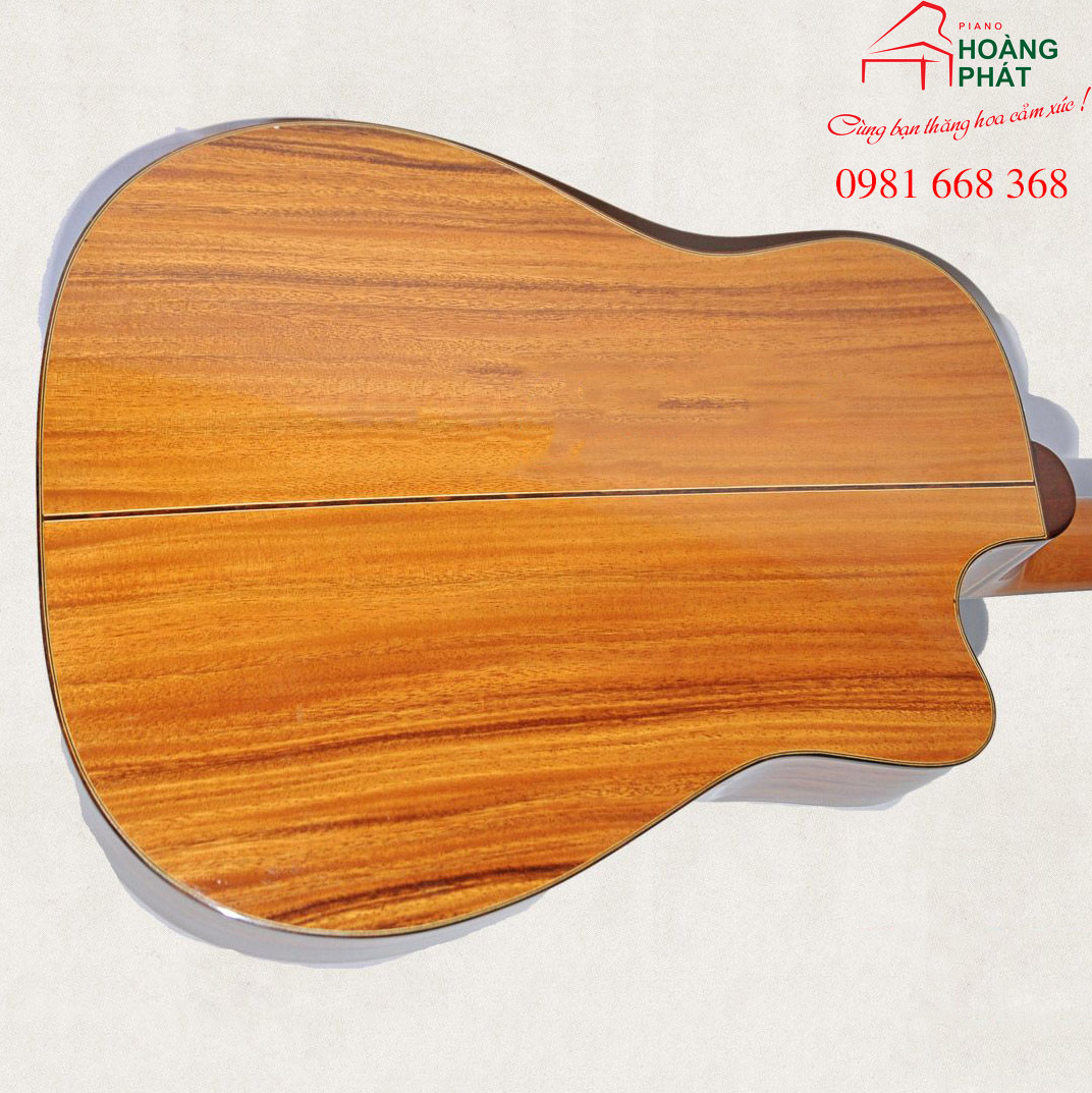 Guitar Acoustic J-550-D Điệp