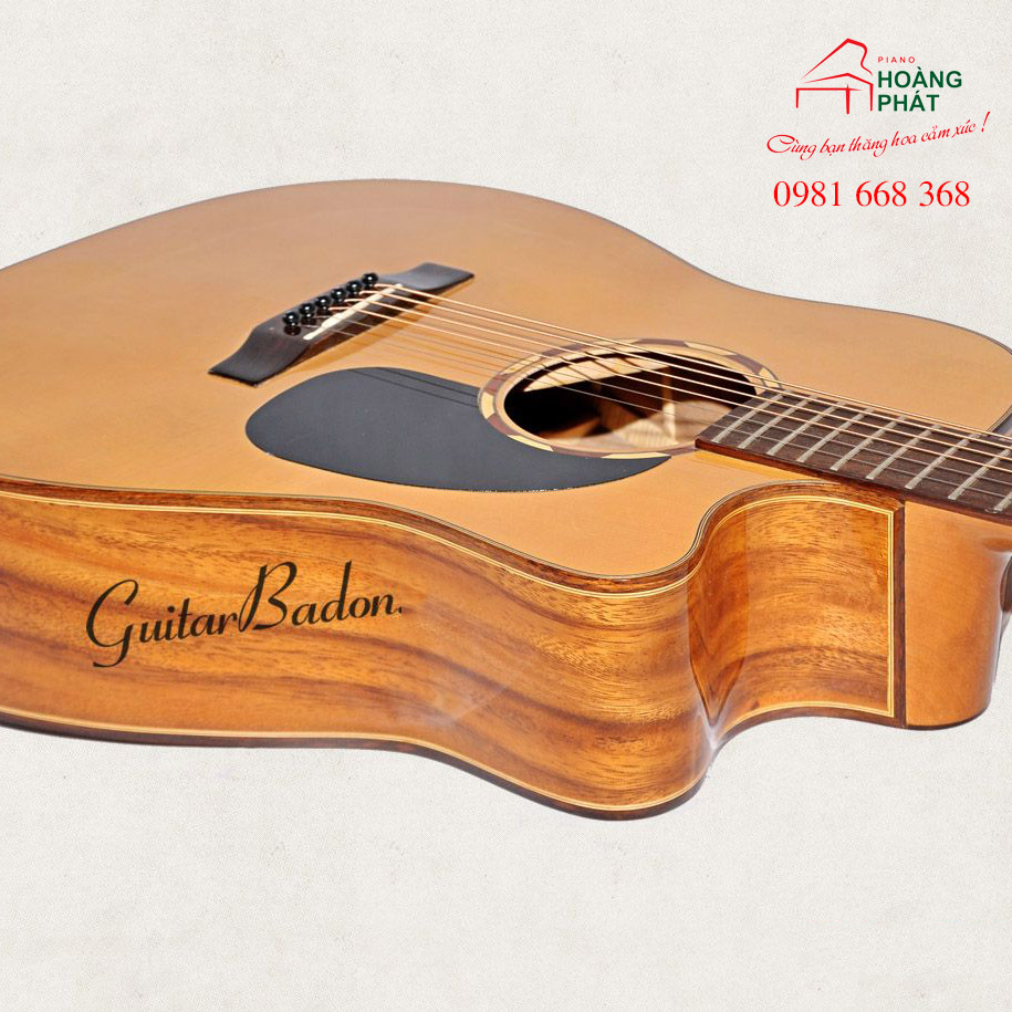 Guitar Acoustic J-550-D Điệp