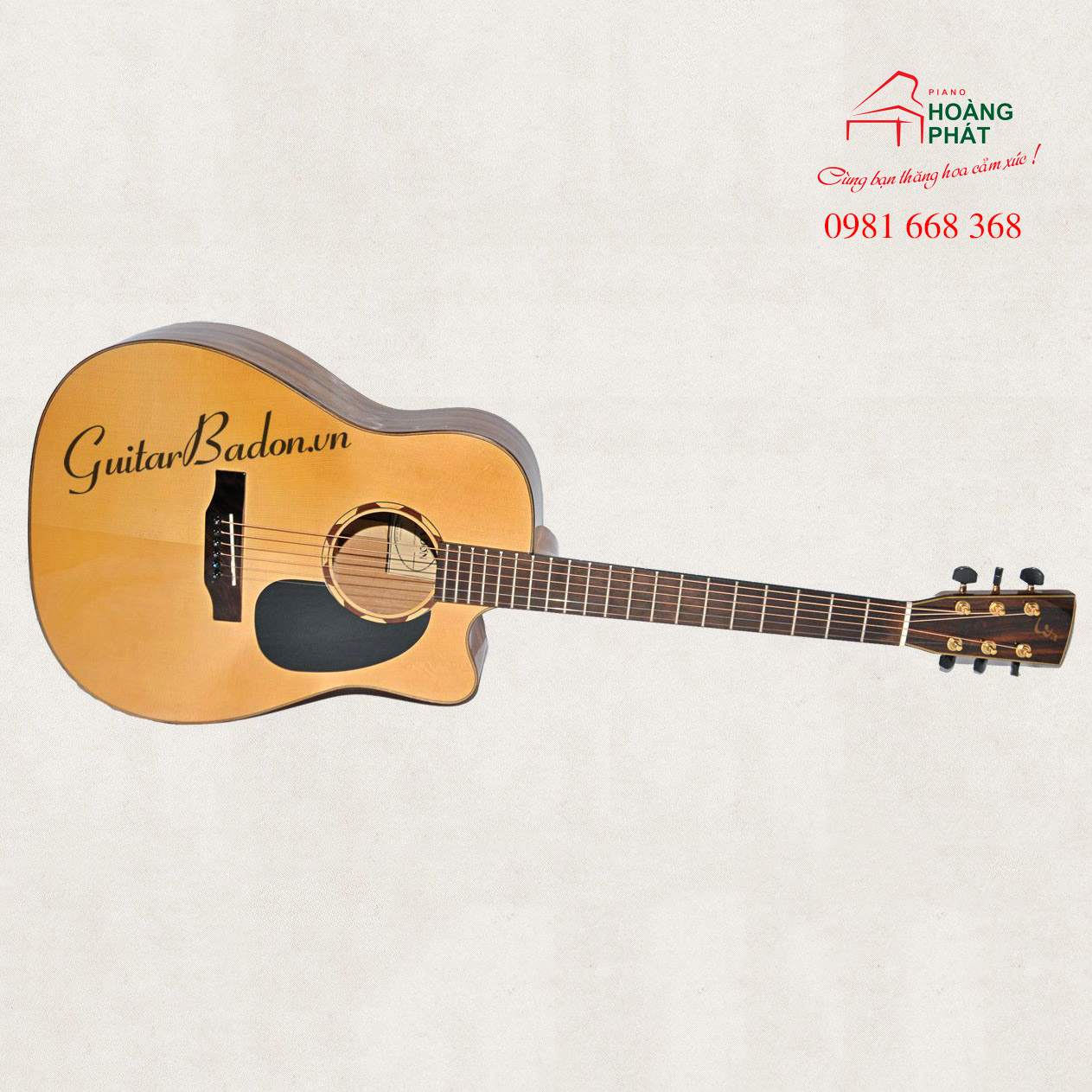 Guitar Acoustic J-550-D Điệp