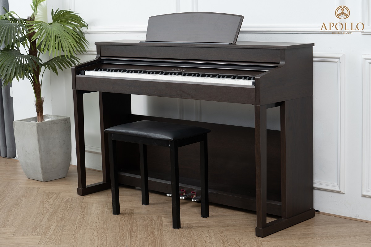 Piano Apollo DP-260 (new)