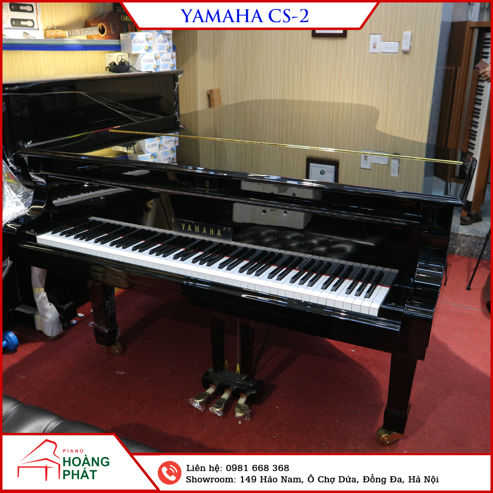 YAMAHA CS-2(CS-II)