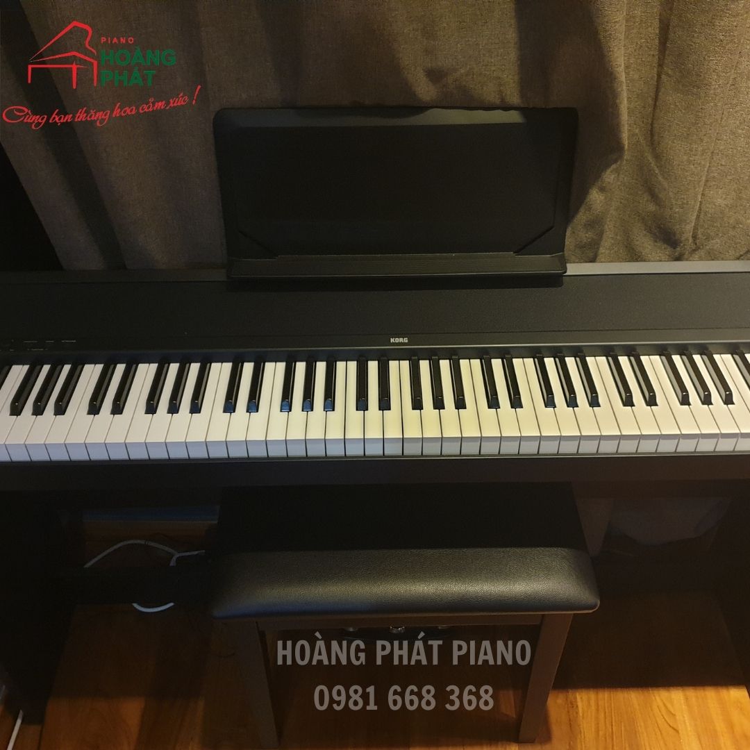 KORG  B1SP