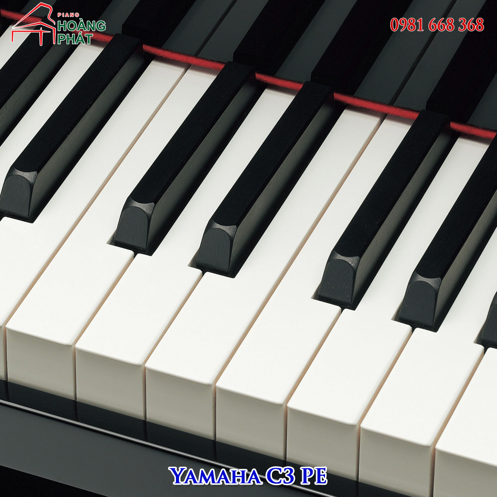 Grand Piano Yamaha C3 PE