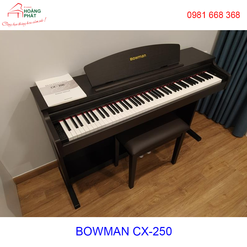 BOWMAN CX-250