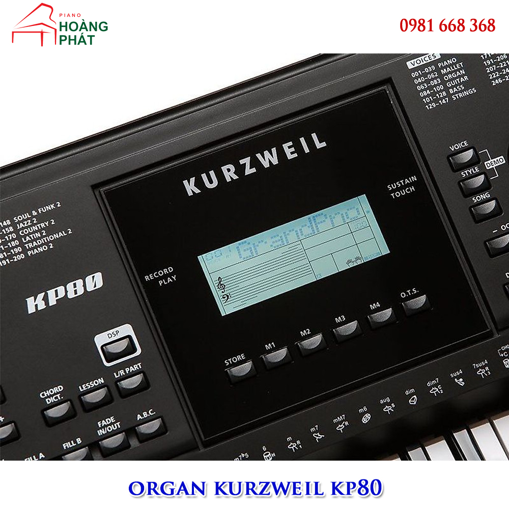 Organ kurzweil kp80 (  Mới)