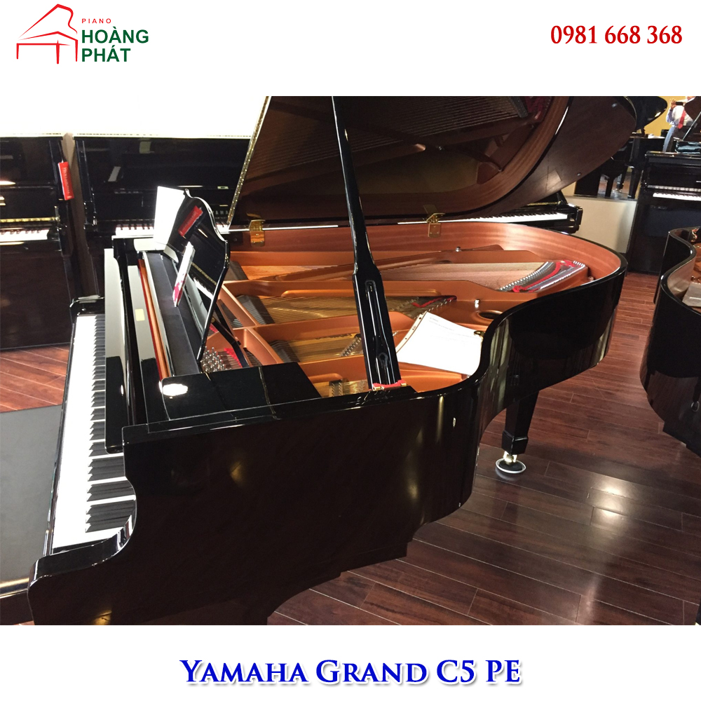 Yamaha Grand C5 PE