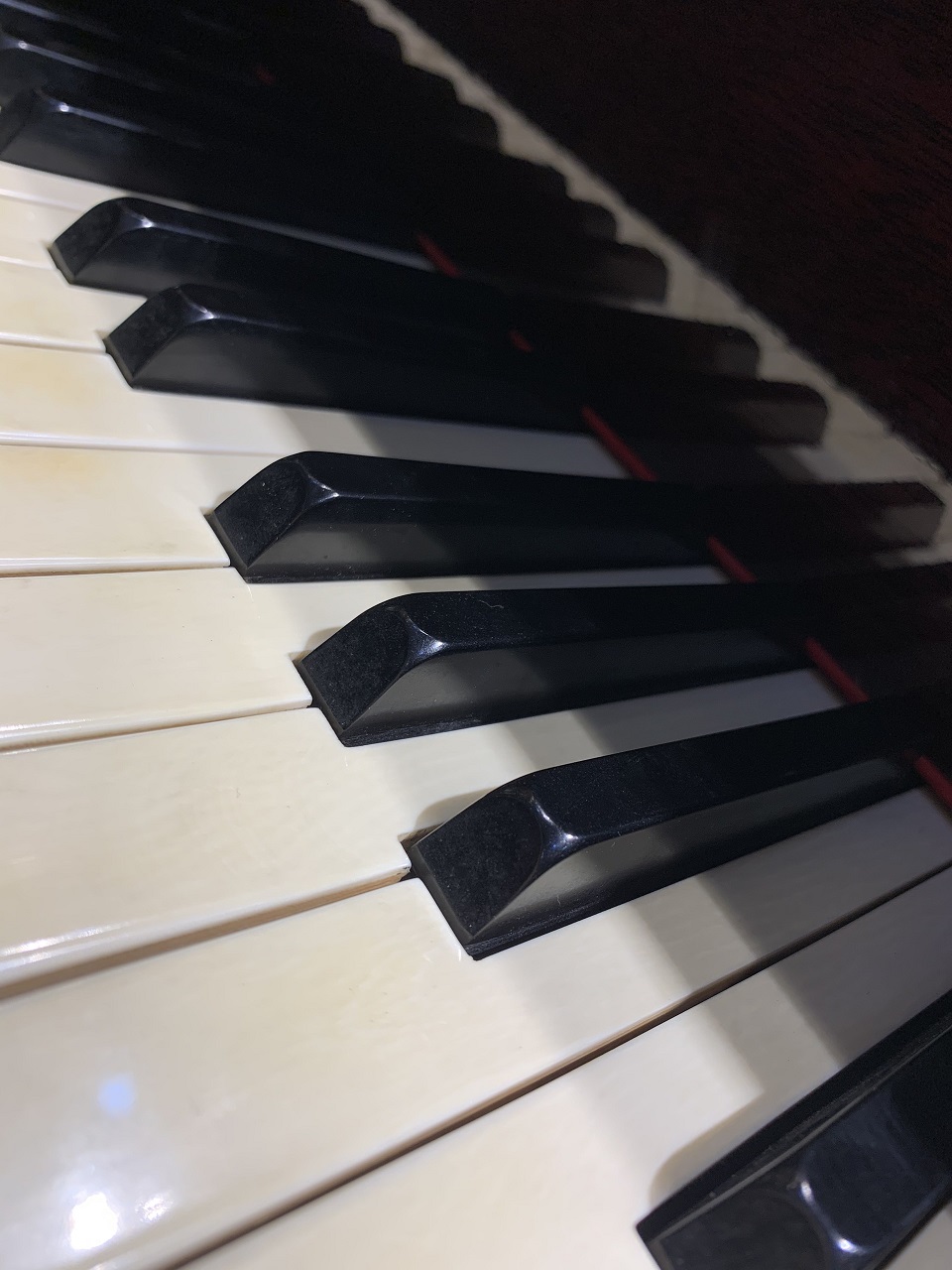 Grand Piano HORUGEL (R72051) 2P