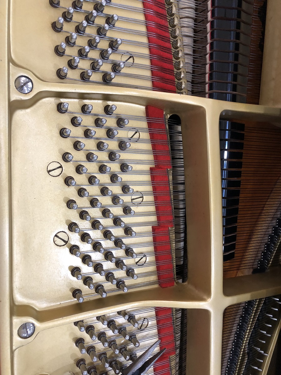 YAMAHA C3 (seri 3940240)