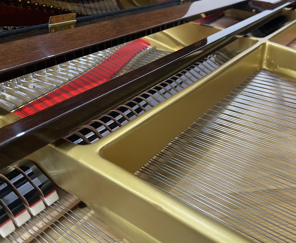 GRAND SCHWESTER G60