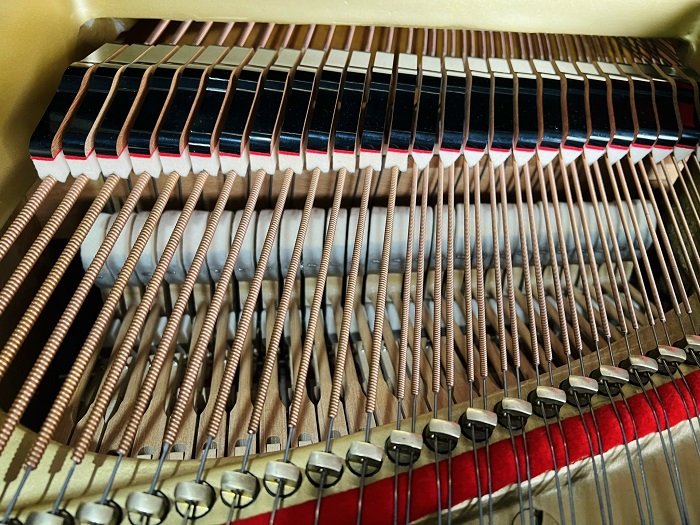 YAMAHA G5E (2640263)