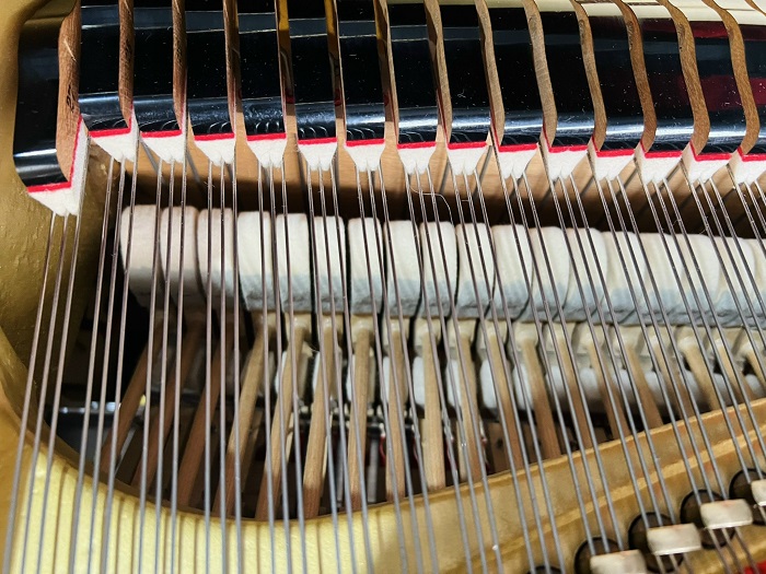 YAMAHA G5E (2640263)