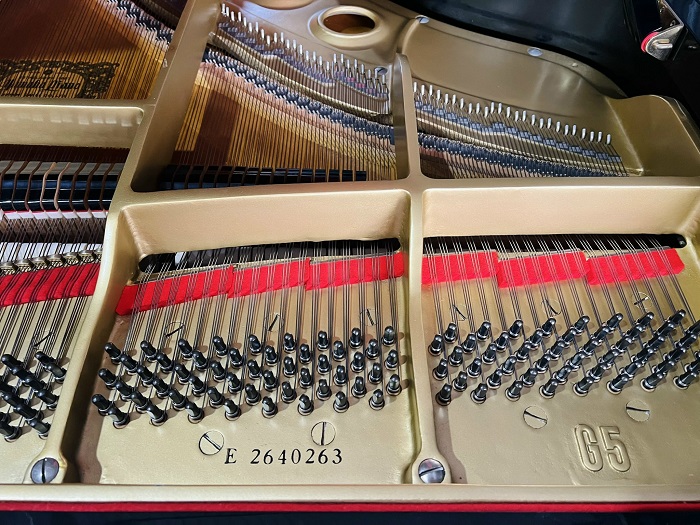 YAMAHA G5E (2640263)