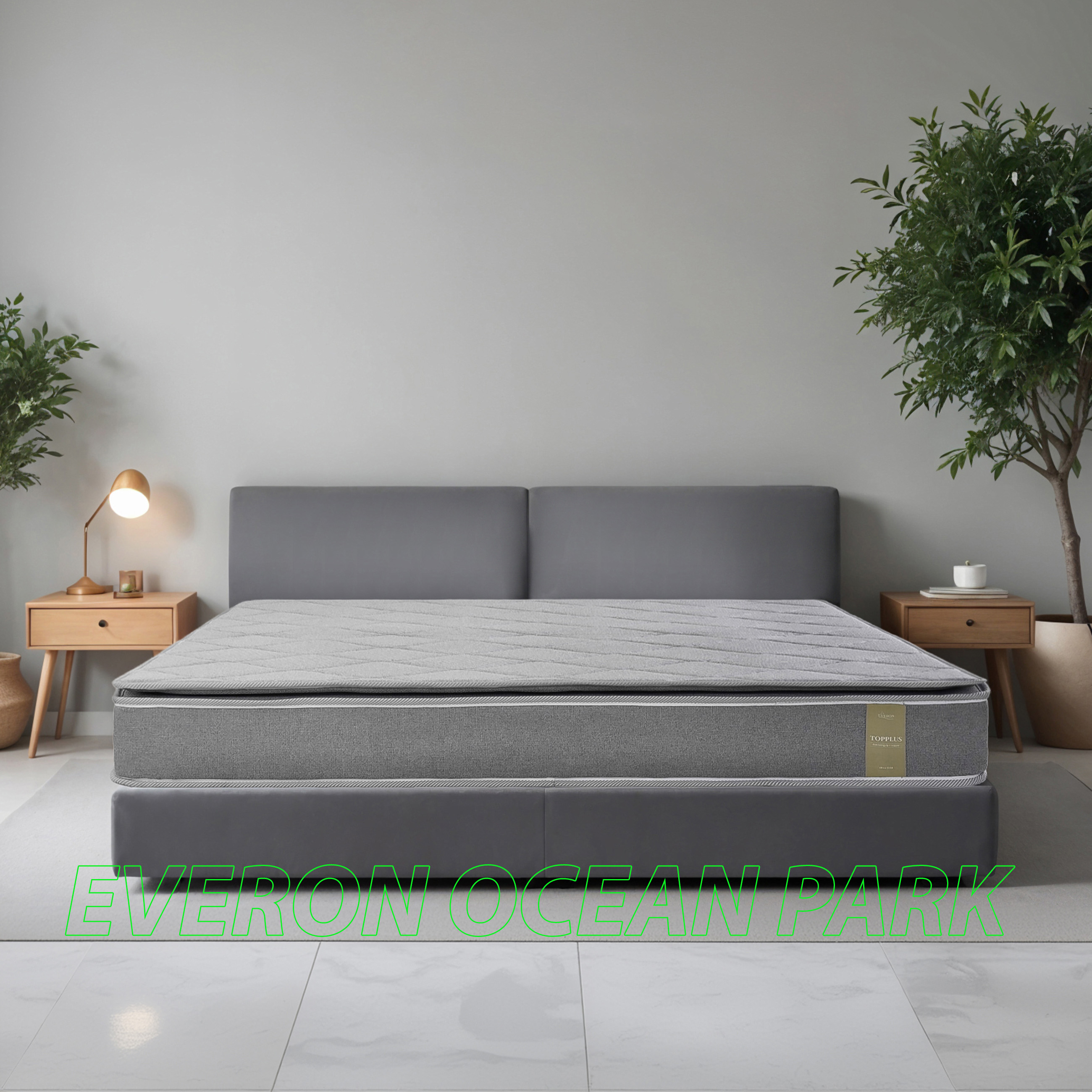 Đệm bông ép TOP PLUS - New