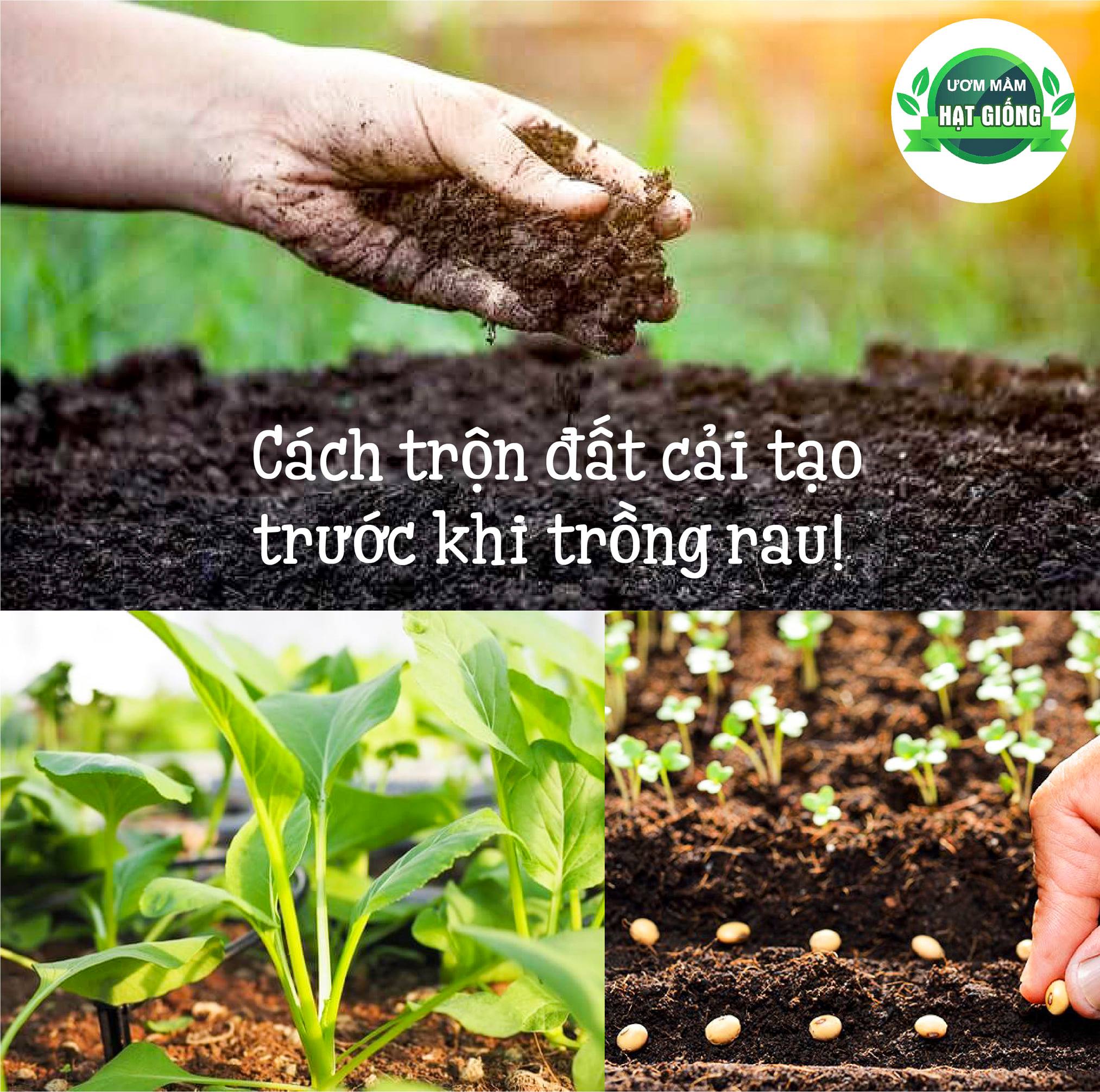huong-dan-tron-dat-tai-nha-trong-chau-thung-xop
