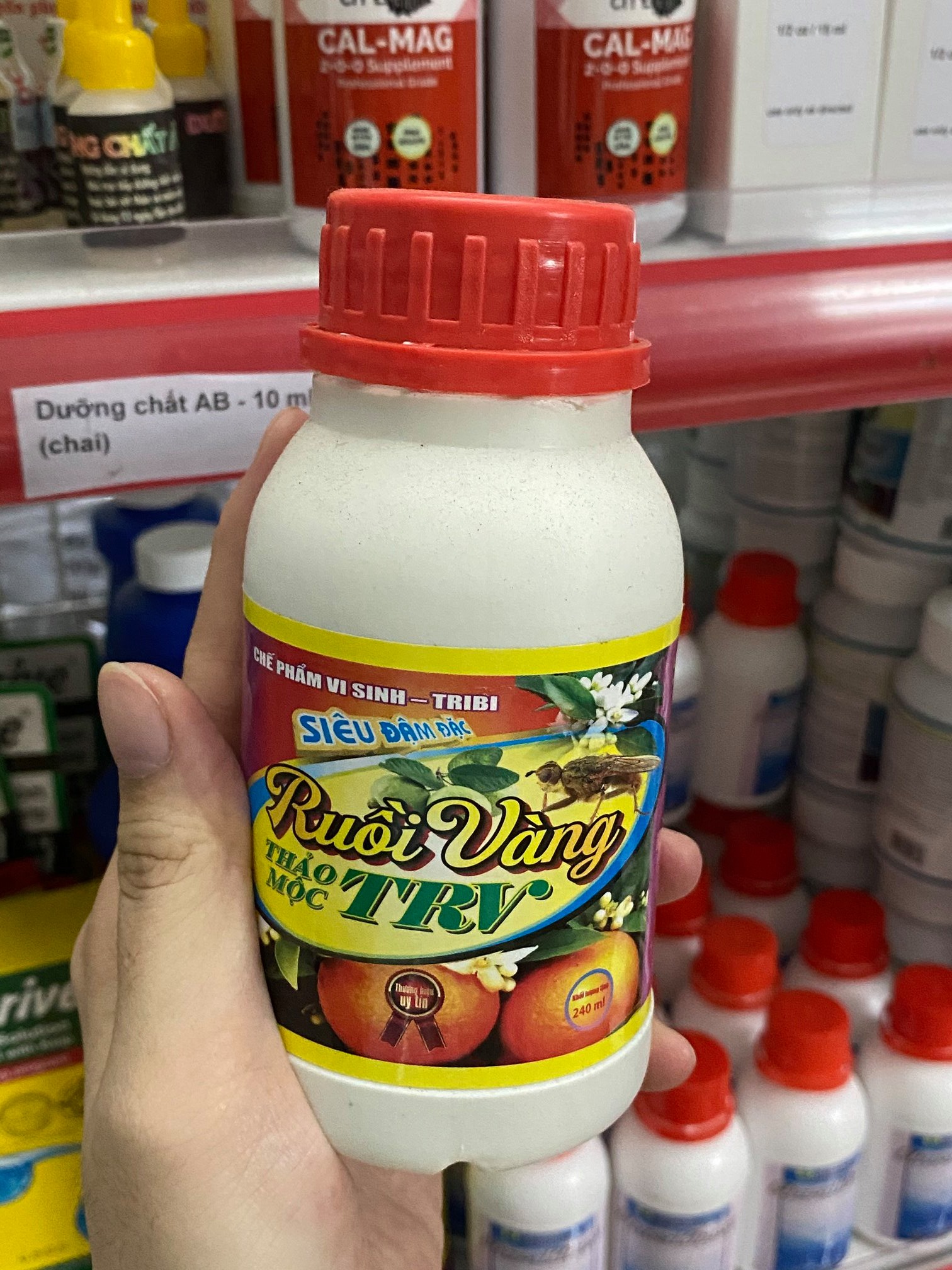 ruoi-vang-va-bien-phap-phong-tieu-diet-chung