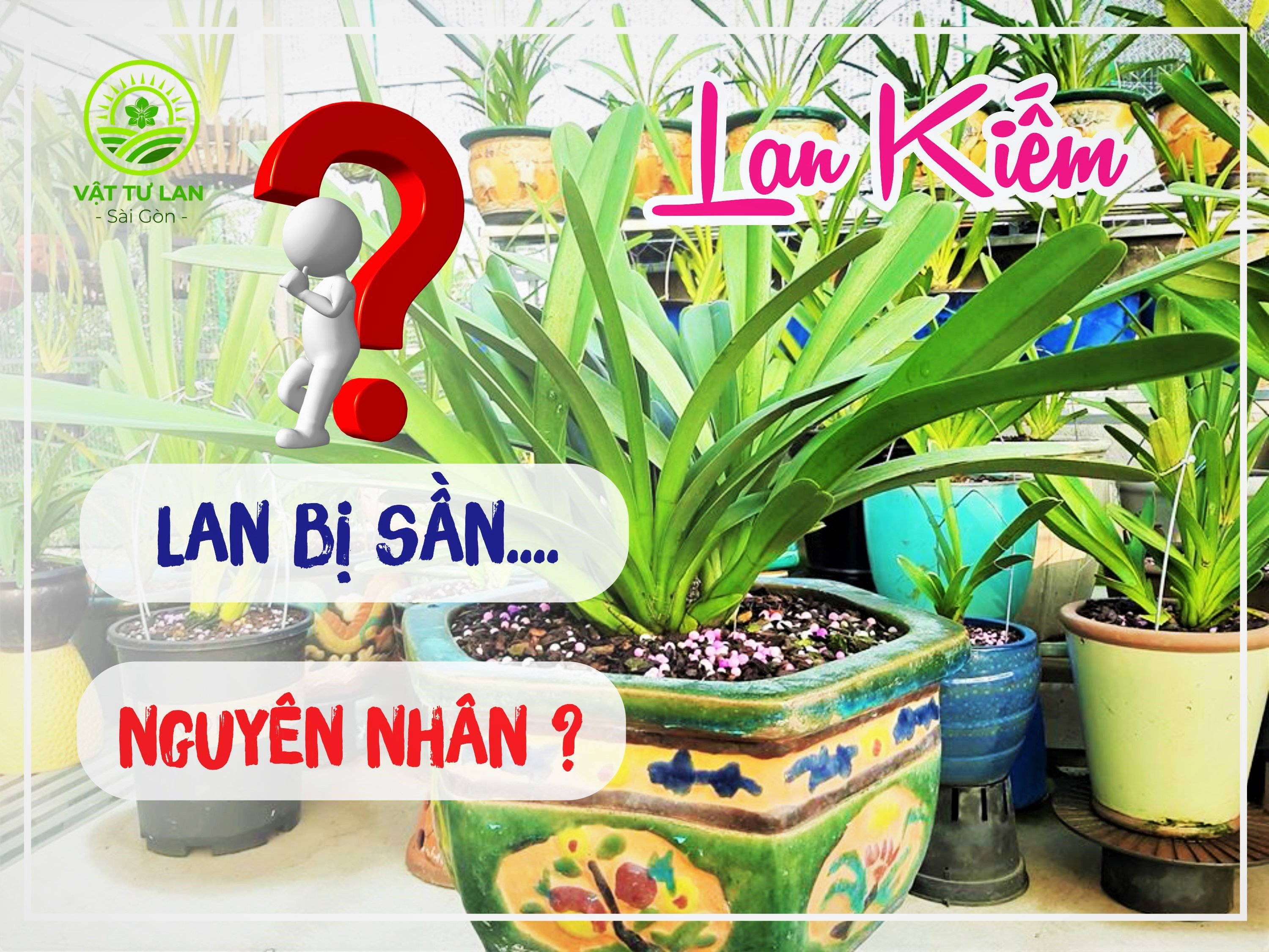 lan-kiem-bi-san-nguyen-nhan