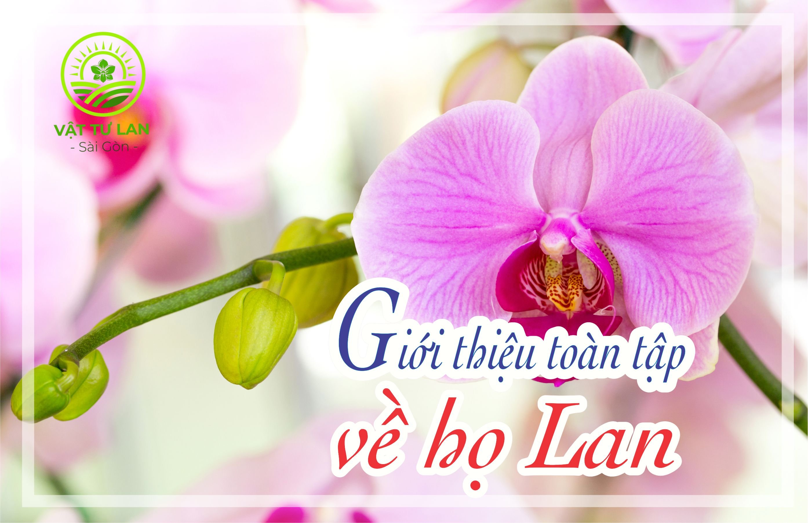 gioi-thieu-toan-tap-ve-ho-lan-orchidaceae