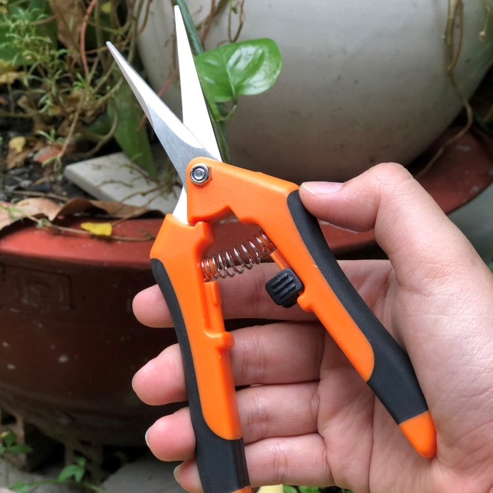 KÉO CẮT TỈA LÁ STAINLESS
