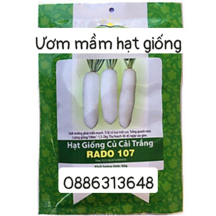 RD Củ cải trắng Rado 107 (1kg)
