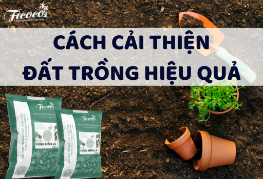 Cách cải thiện đất trồng hiệu quả?