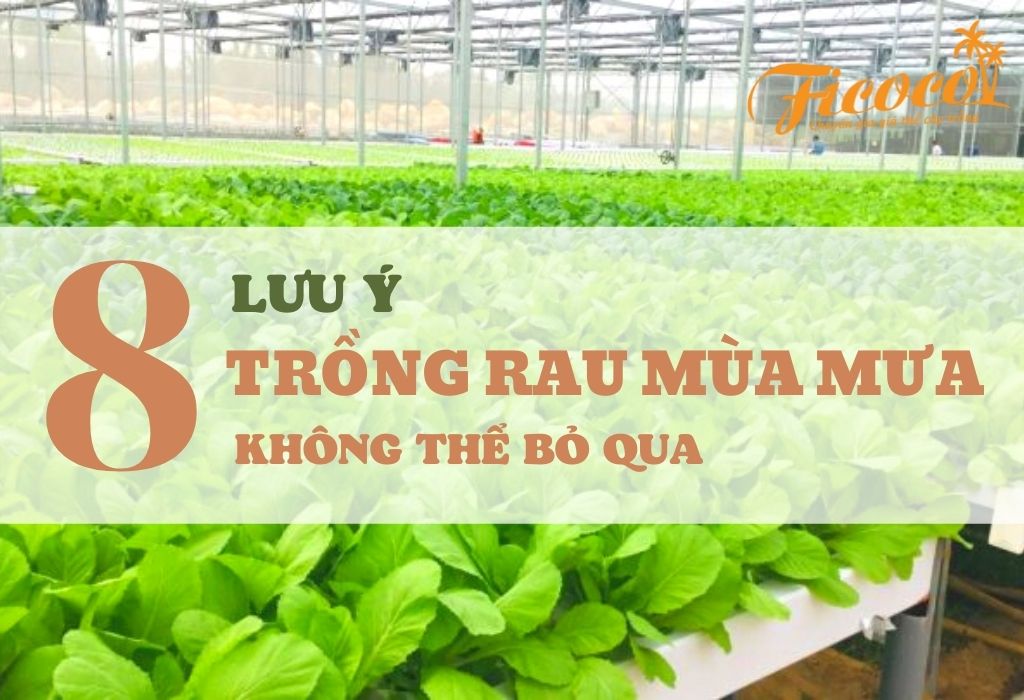 Những điều bạn cần biết khi làm vườn vào mùa mưa