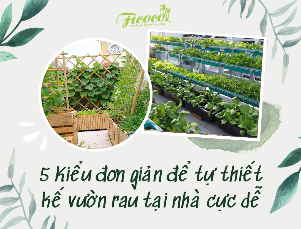 5 KIỂU ĐƠN GIẢN ĐỂ TỰ THIẾT KẾ VƯỜN RAU TẠI NHÀ CỰC DỄ